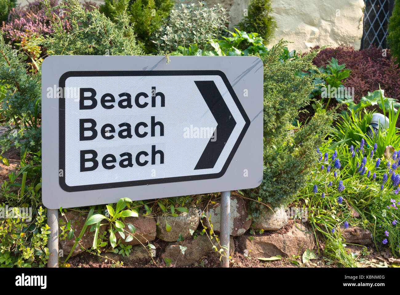 Composite of reflective 'Beach, Beach, Beach' sign pointing right with flowers and shrubs in the background Stock Photo