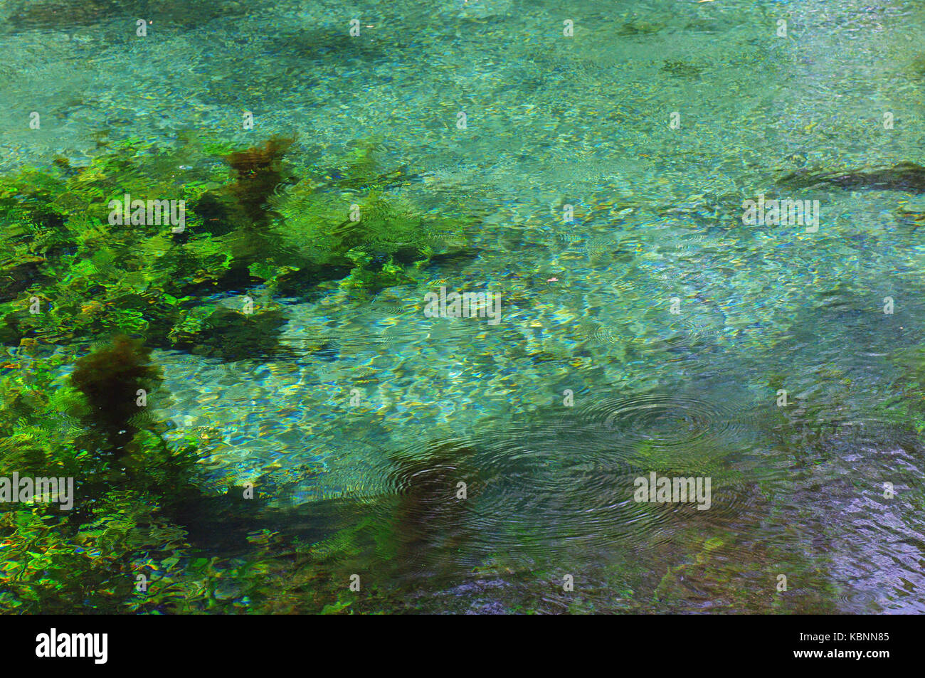 a look into the clear waters of a large spring in San Giorgio a Liri (Italy) Stock Photo