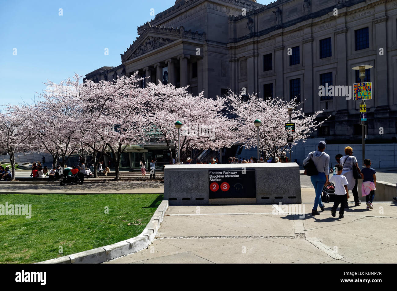 visitors and tourists arriving at the Brooklyn Museum of Art on a warm Spring day with cherry blossom trees in full bloom. Stock Photo