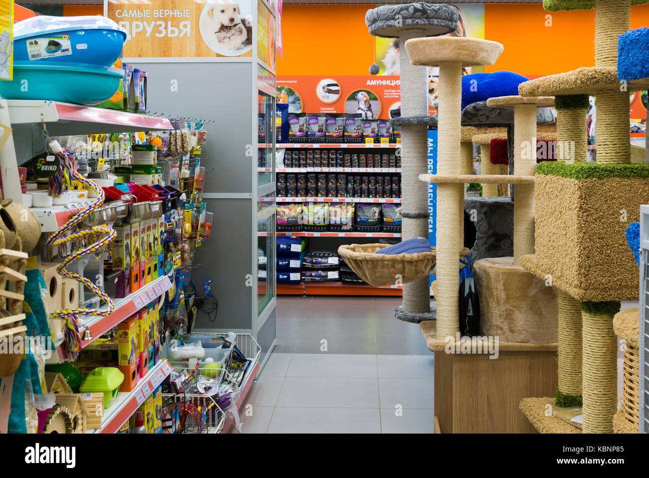 Pet shop interior hires stock photography and images Alamy