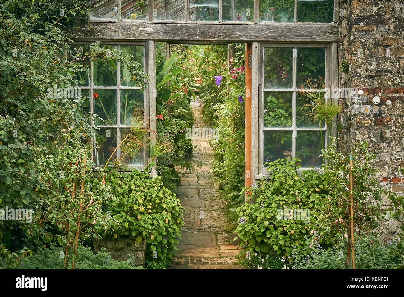 The entrance to an old Victorian greenhouse with cobbled path Stock Photo