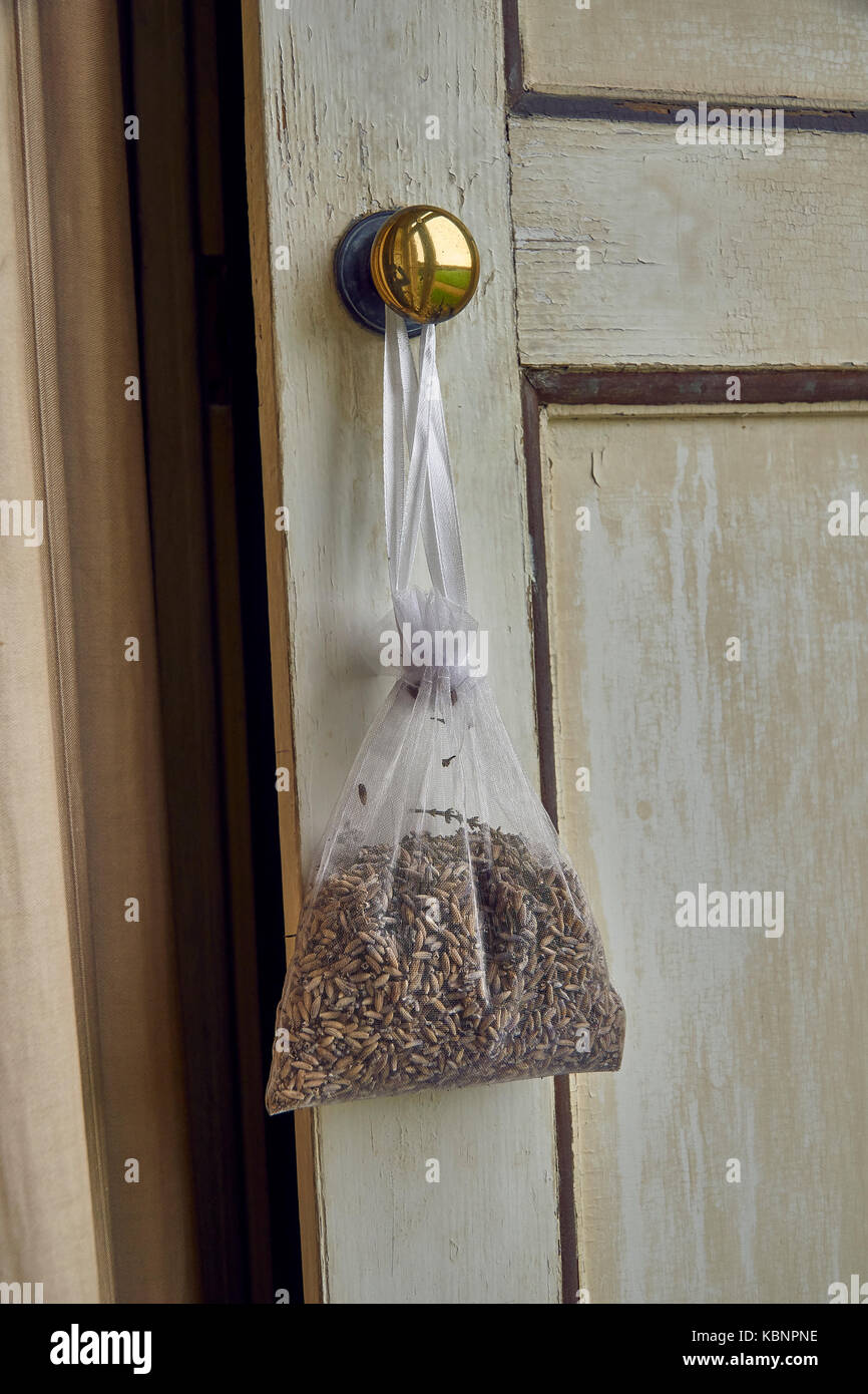 A lavender bag hanging from a brass door handle Stock Photo