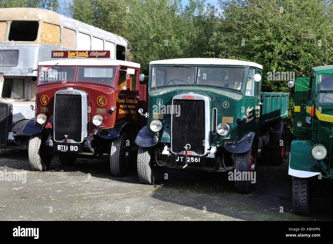 Two Leyland lorries, an Octopus (BTD 90) and a Beaver (JT 2561), are seen at the West of England Transport Collection Open Day on 6th October 2013. Stock Photo