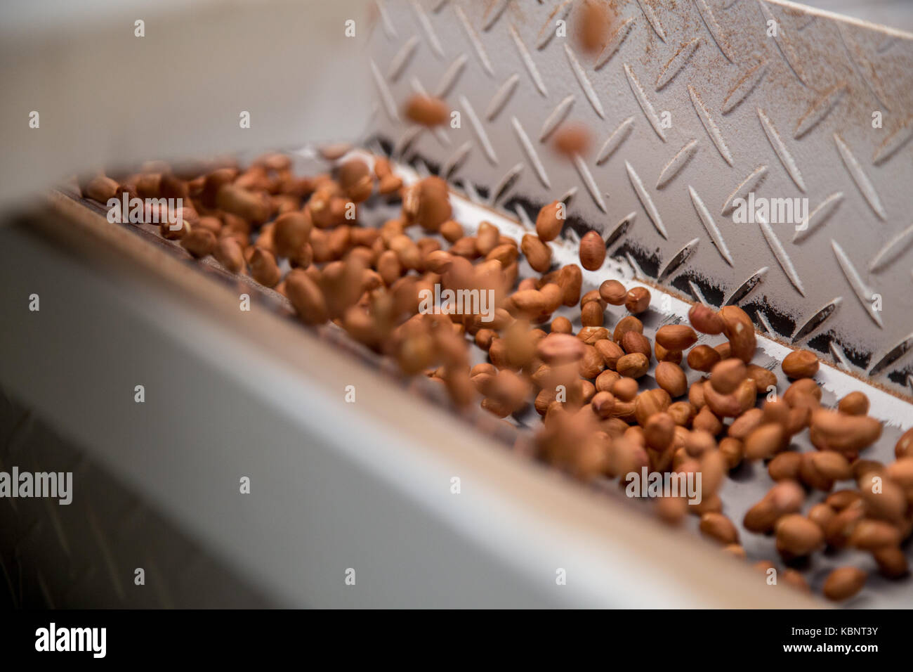 peanut process industry brazil Stock Photo - Alamy