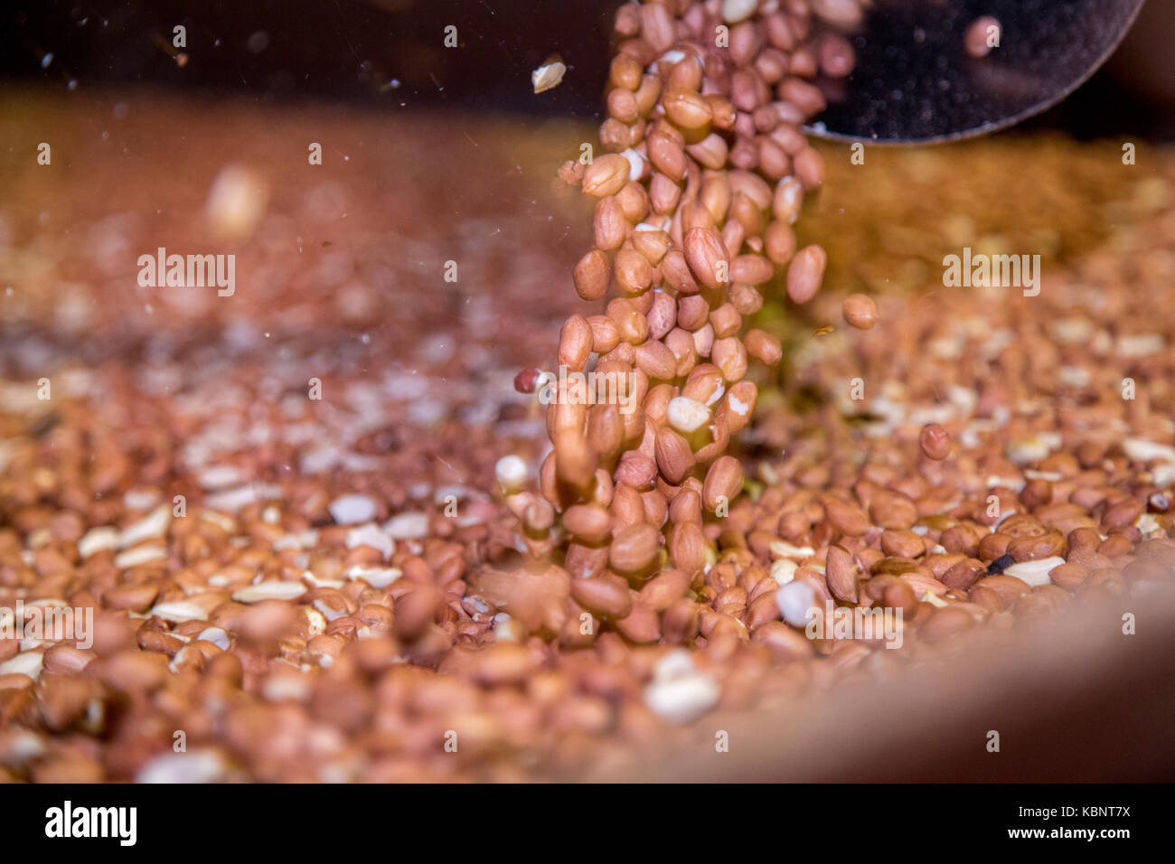 peanut process industry brazil Stock Photo - Alamy