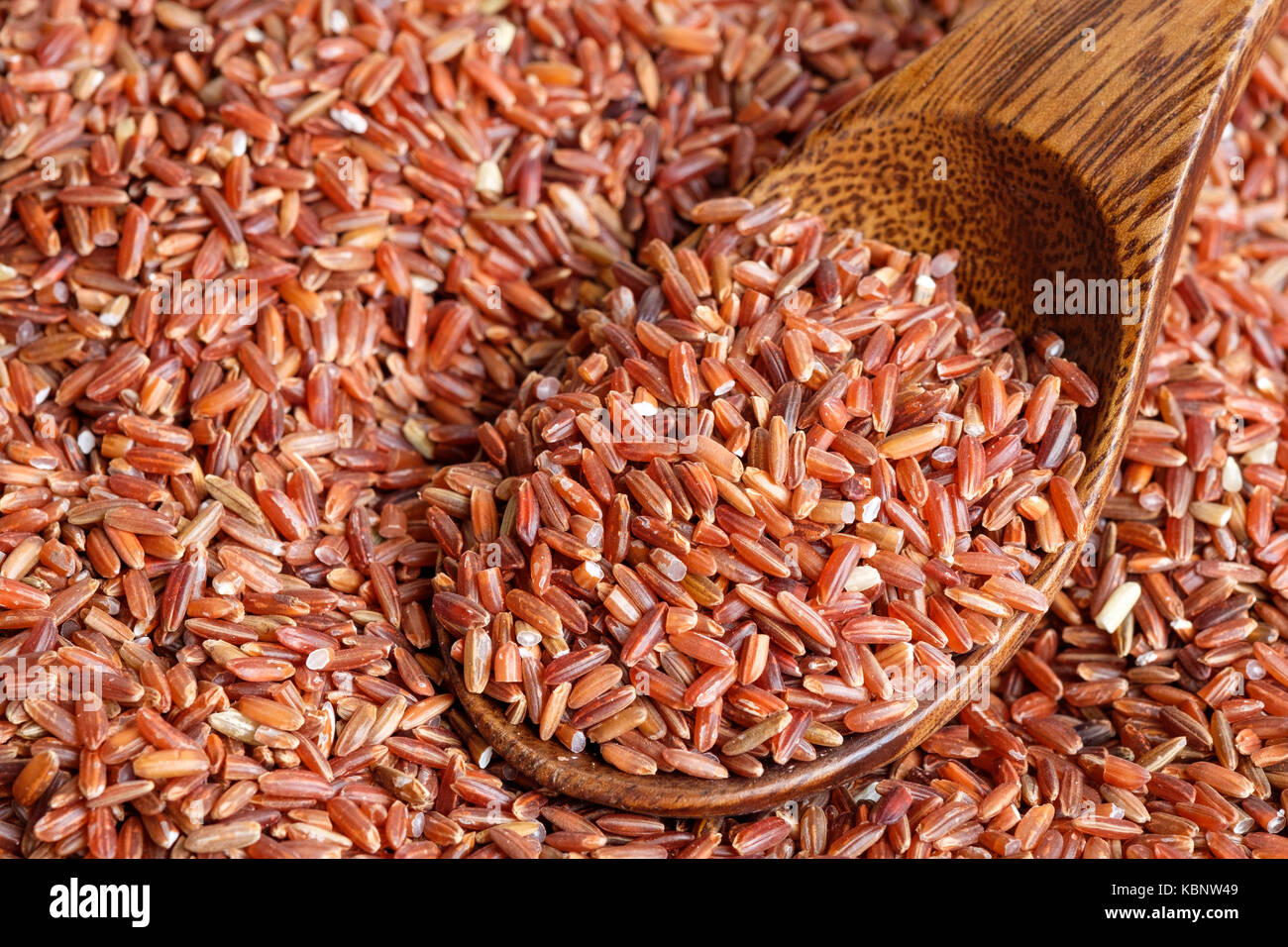 Unhulled rice hires stock photography and images Alamy