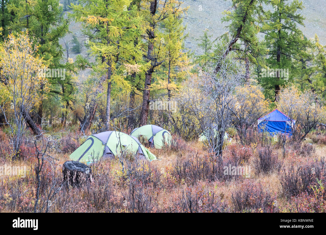 campsite in northern Mongolian tundra Stock Photo - Alamy