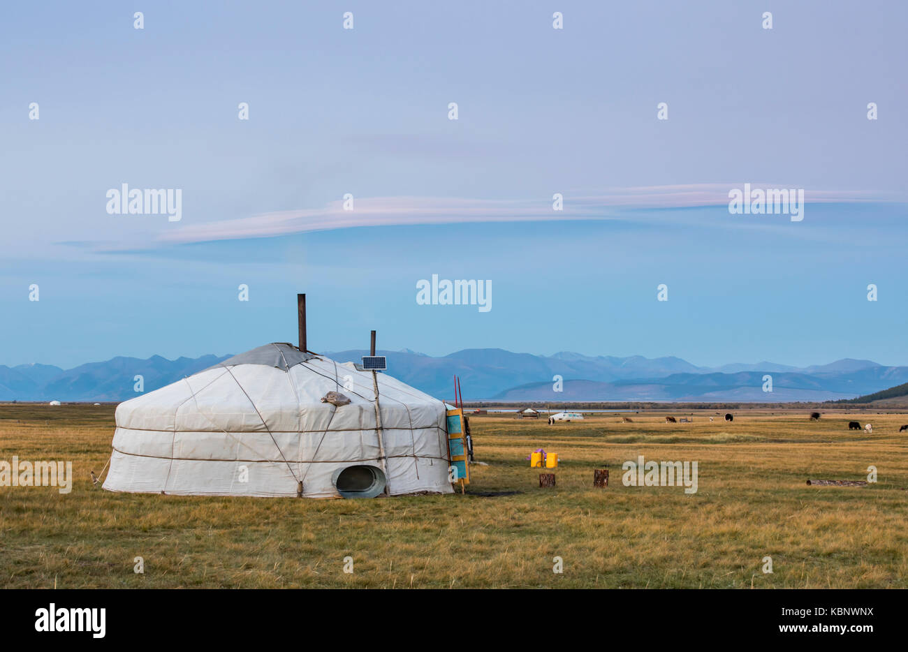mongolian family gers in a landscape of northern Mongolia Stock Photo ...