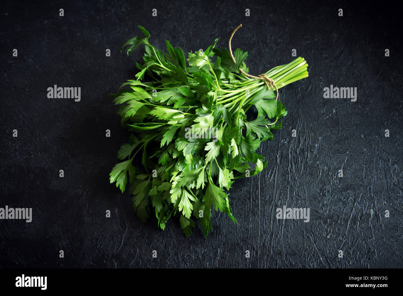 Organic Italian Parsley closeup on black background, healthy vegetarian