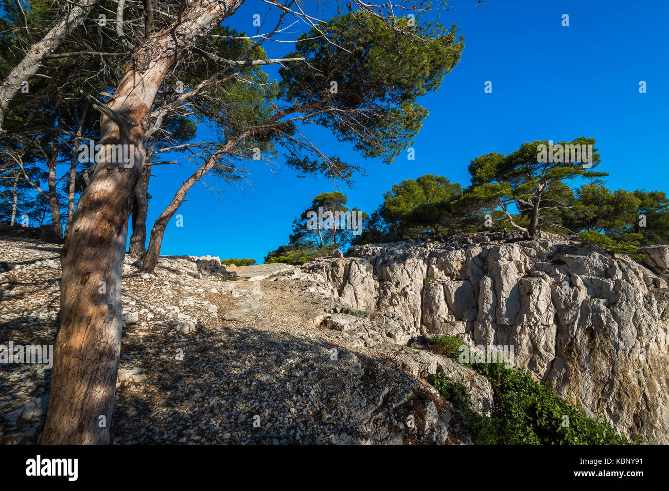Calanques de Port-Pin, National Park Cassis, Provence-Alpes-Cote d'Azur, France Stock Photo