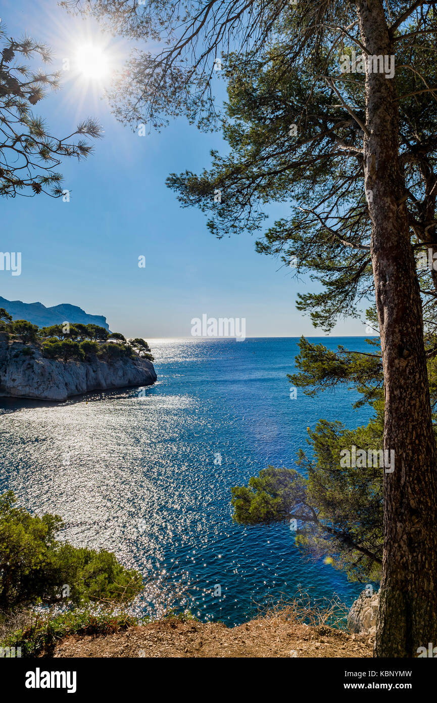 Calanques de Port-Miou, National Park Calanque de Port-Pin, Cassis, Provence-Alpes-Cote d'Azur, France Stock Photo