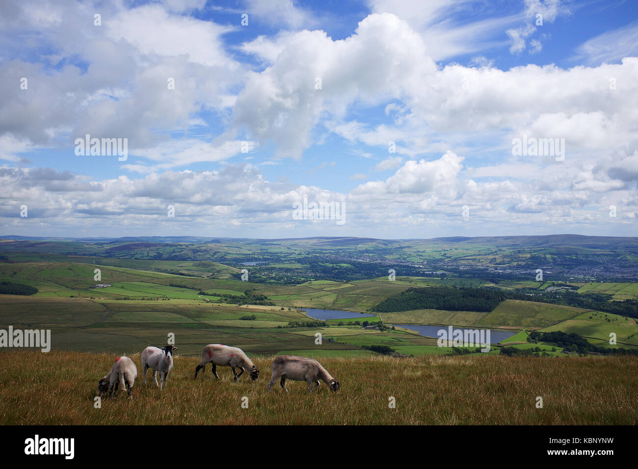 View over East Lancashire from the summit of Pendle Hill Stock Photo