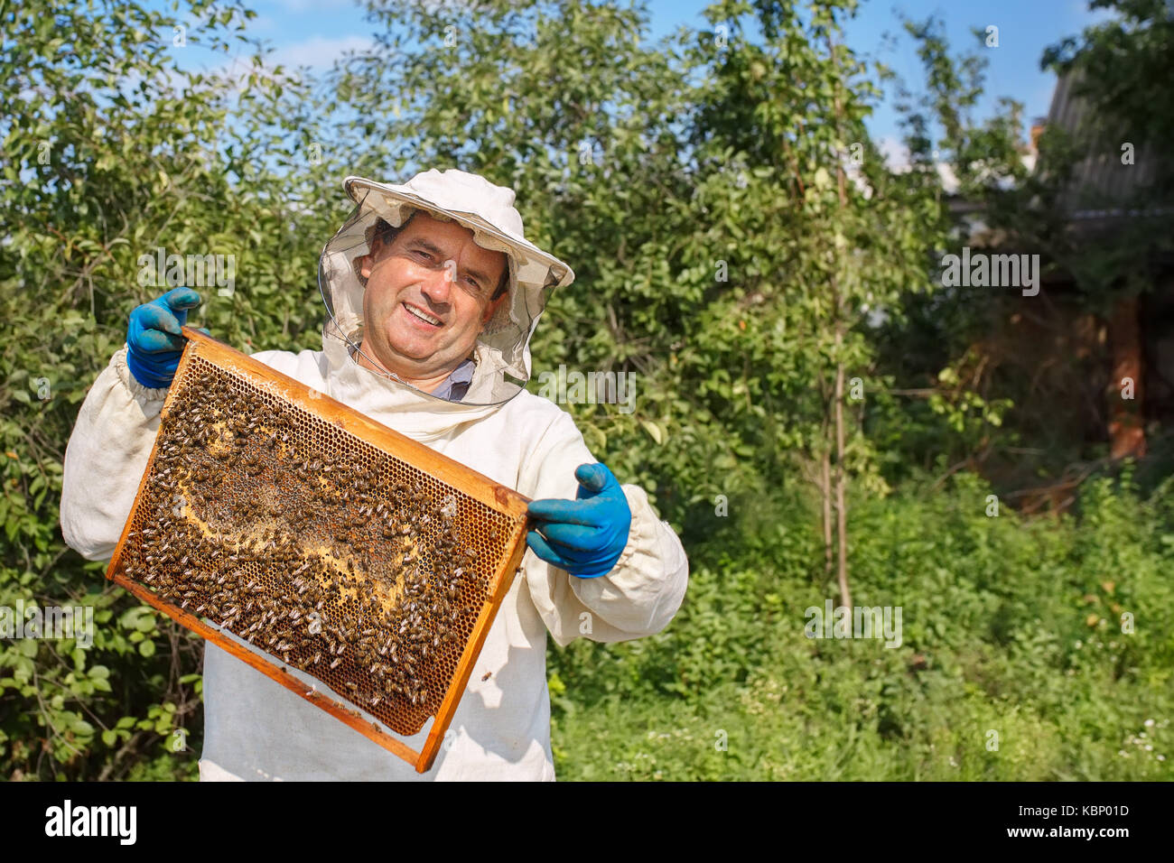 beekeeper with honeycomb Stock Photo