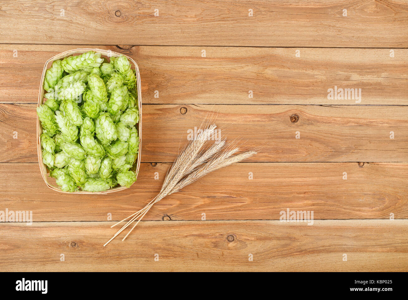 green hops and ears of wheat top view Stock Photo