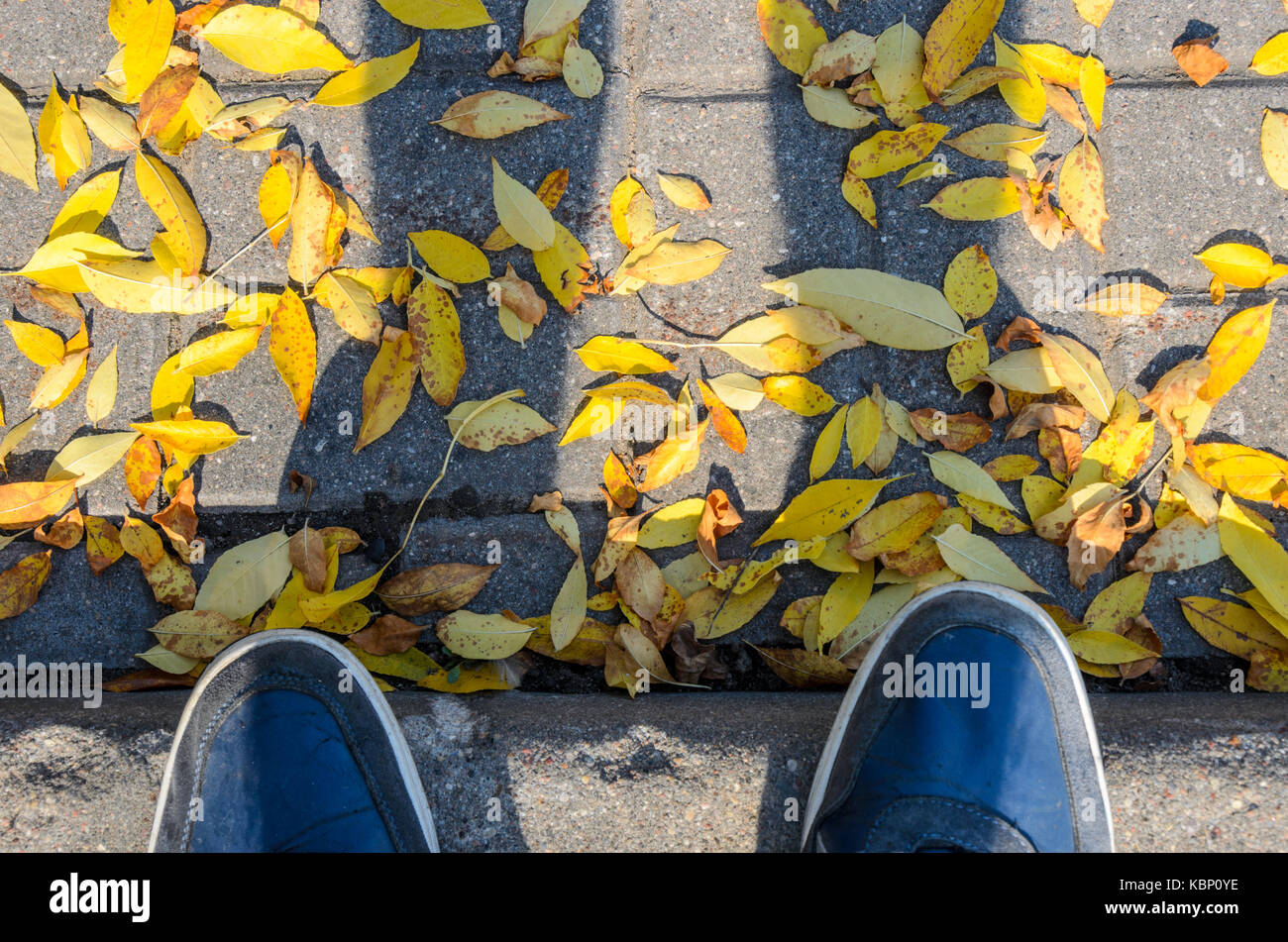 Blue Sneakers on a Gray Paving Sidewalk Covered with Fallen Leaves Top ...