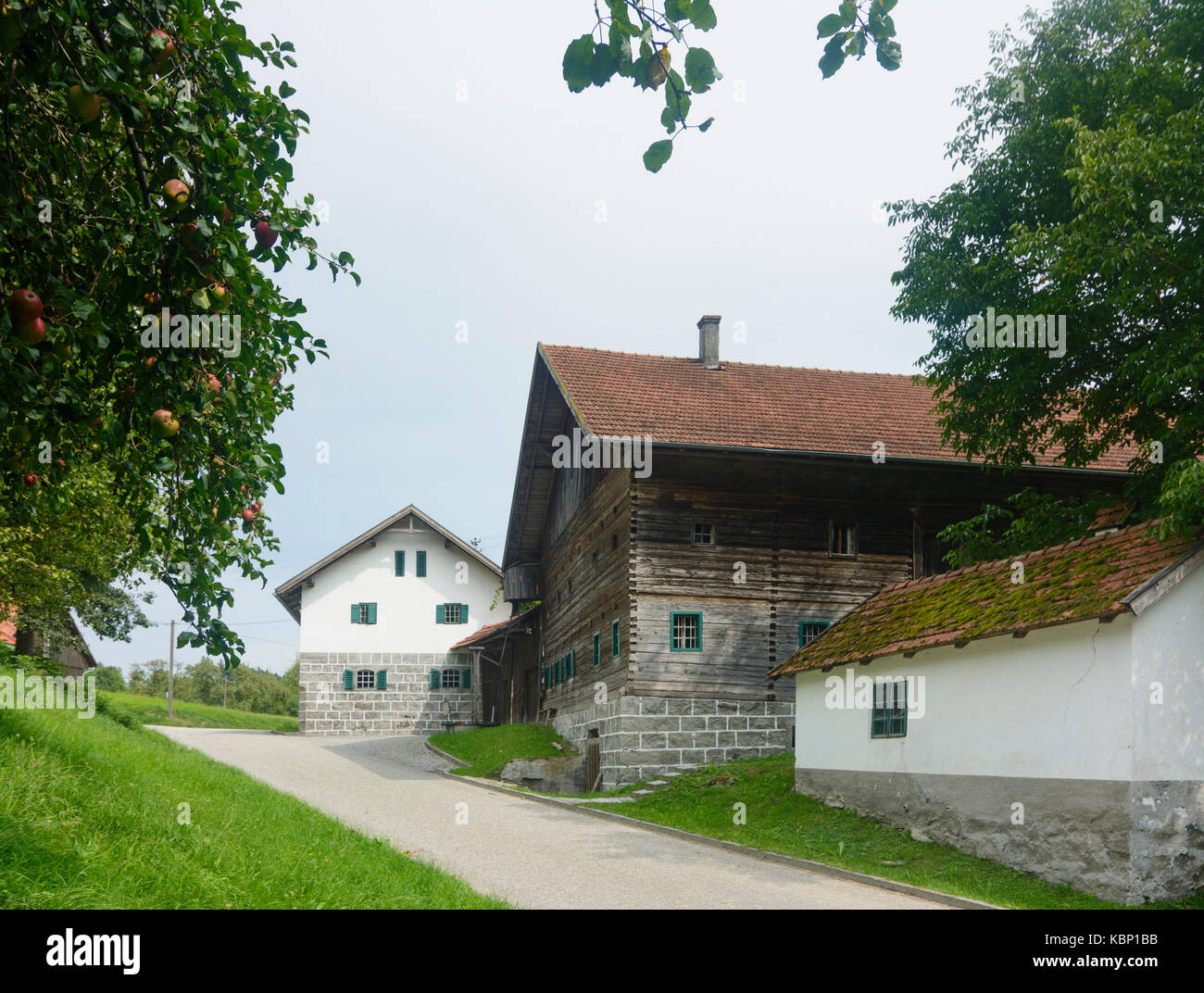 openair museum Innviertler Freilichtmuseum Brunnbauerhof, Andorf, Innviertel, Oberösterreich, Upper Austria, Austria Stock Photo