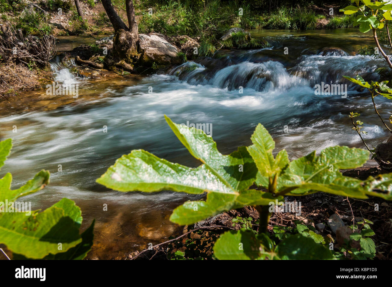 Gorges du Caramy Tourves Provence Verte Var France 83 Stock Photo - Alamy