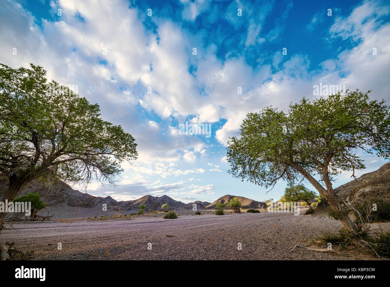 Growing along roadside hi-res stock photography and images - Alamy