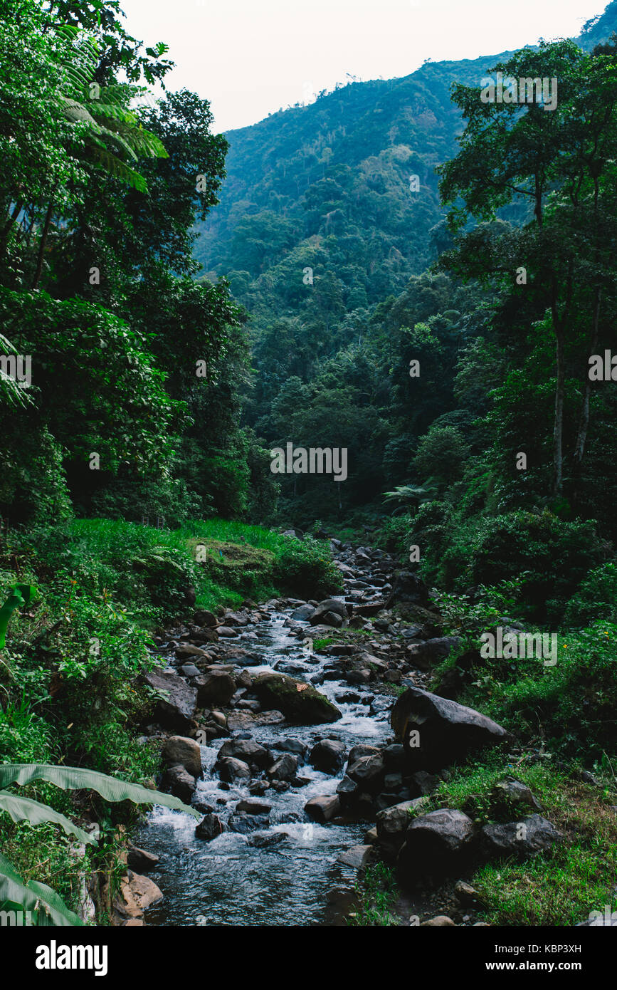 Waterfall in deep jungle hi-res stock photography and images - Alamy