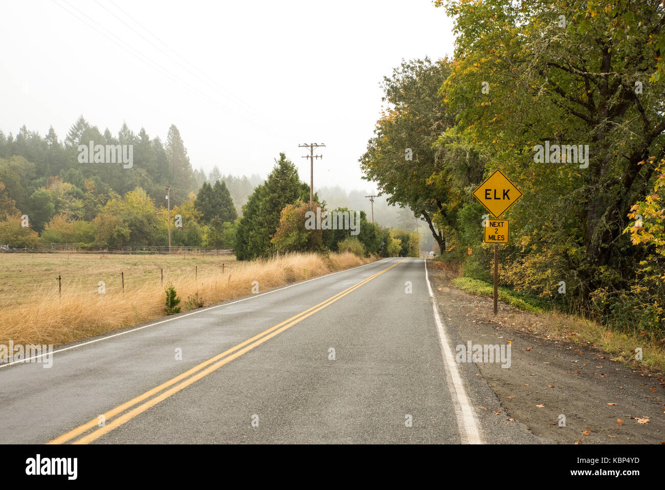 Fog on Placer Road- On this day in October, fog hides the hills and obscures the road near Grave Creek Covered Bridge. Stock Photo