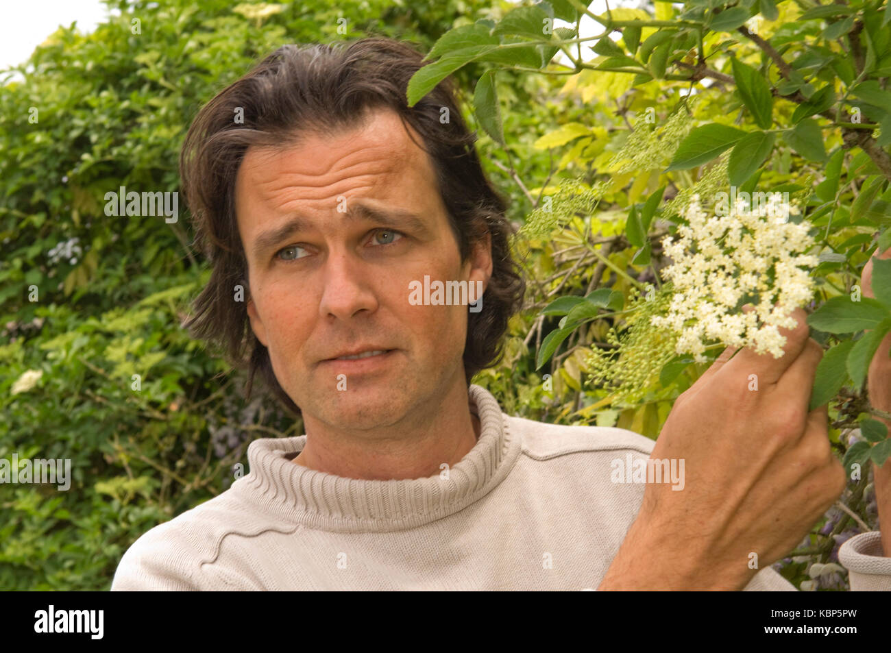 Gabriel David owner of Luscombe Organic Drinks in his orchard with elderflower bushes. Stock Photo