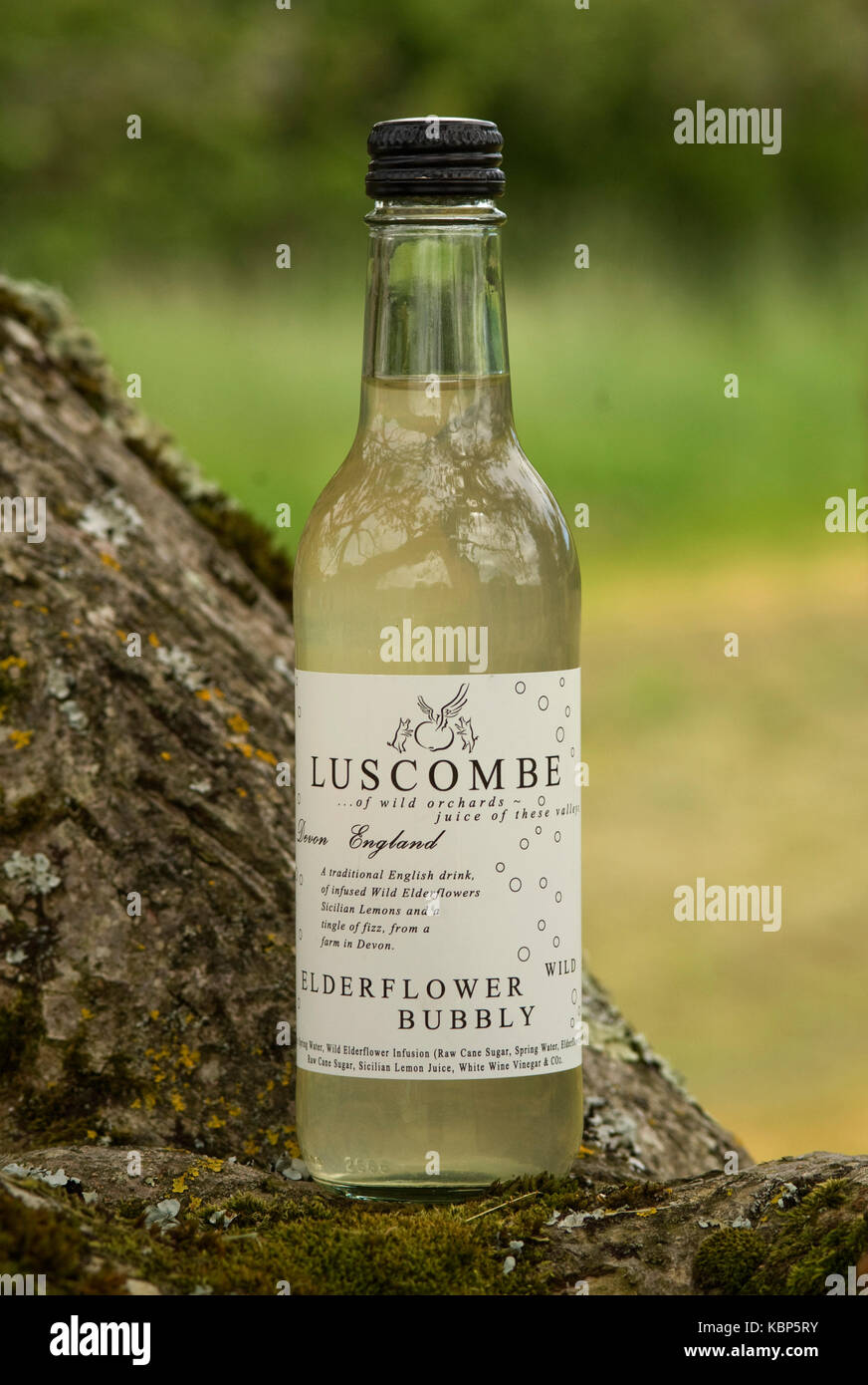 Organic drinks and elderflower Stock Photo Alamy