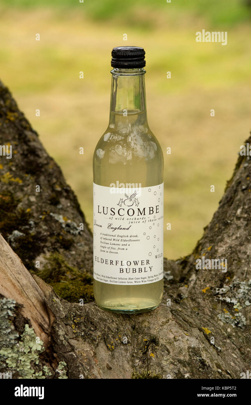 Organic drinks and elderflower Stock Photo Alamy