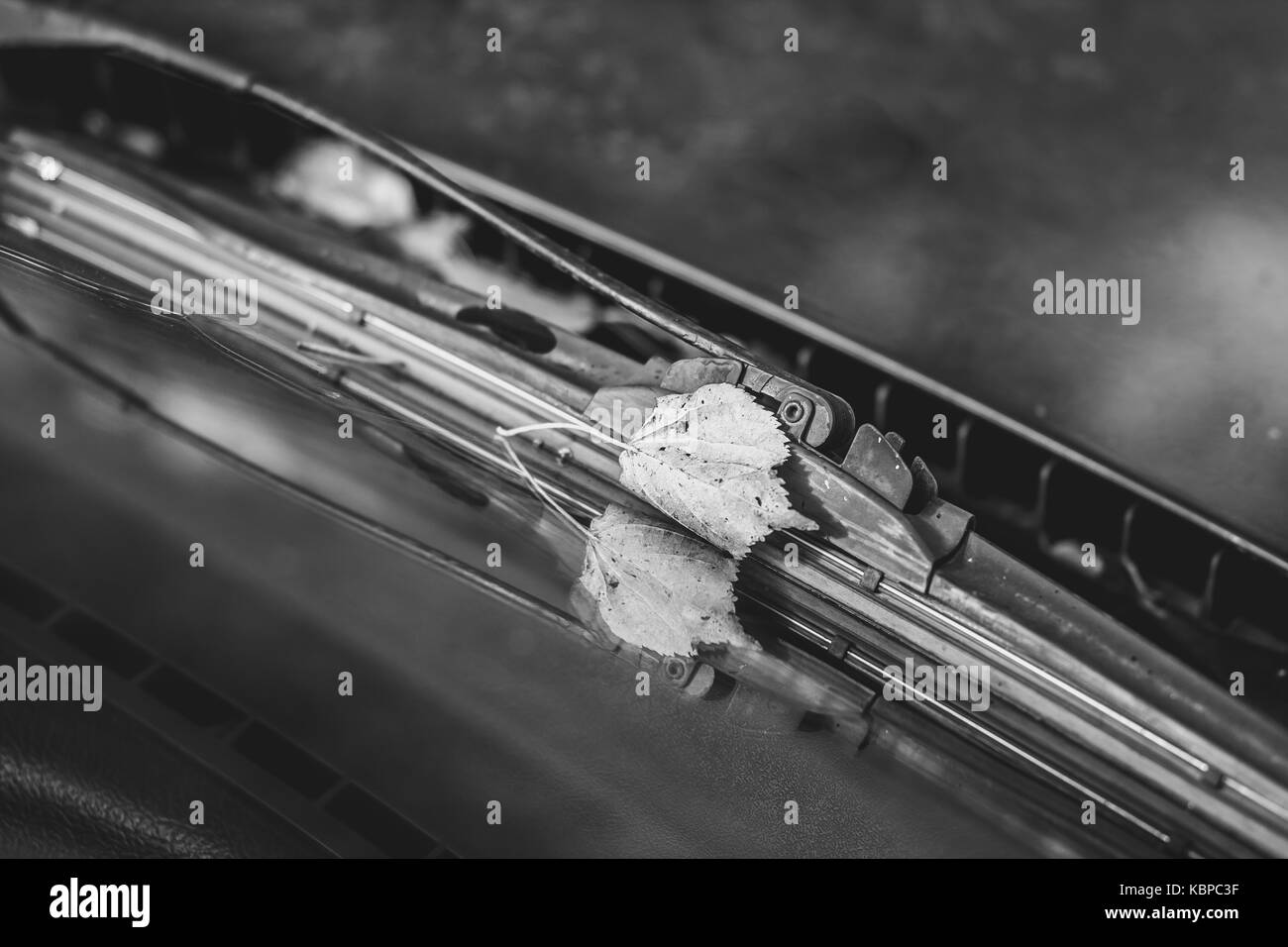 Wipers rain Black and White Stock Photos & Images - Alamy