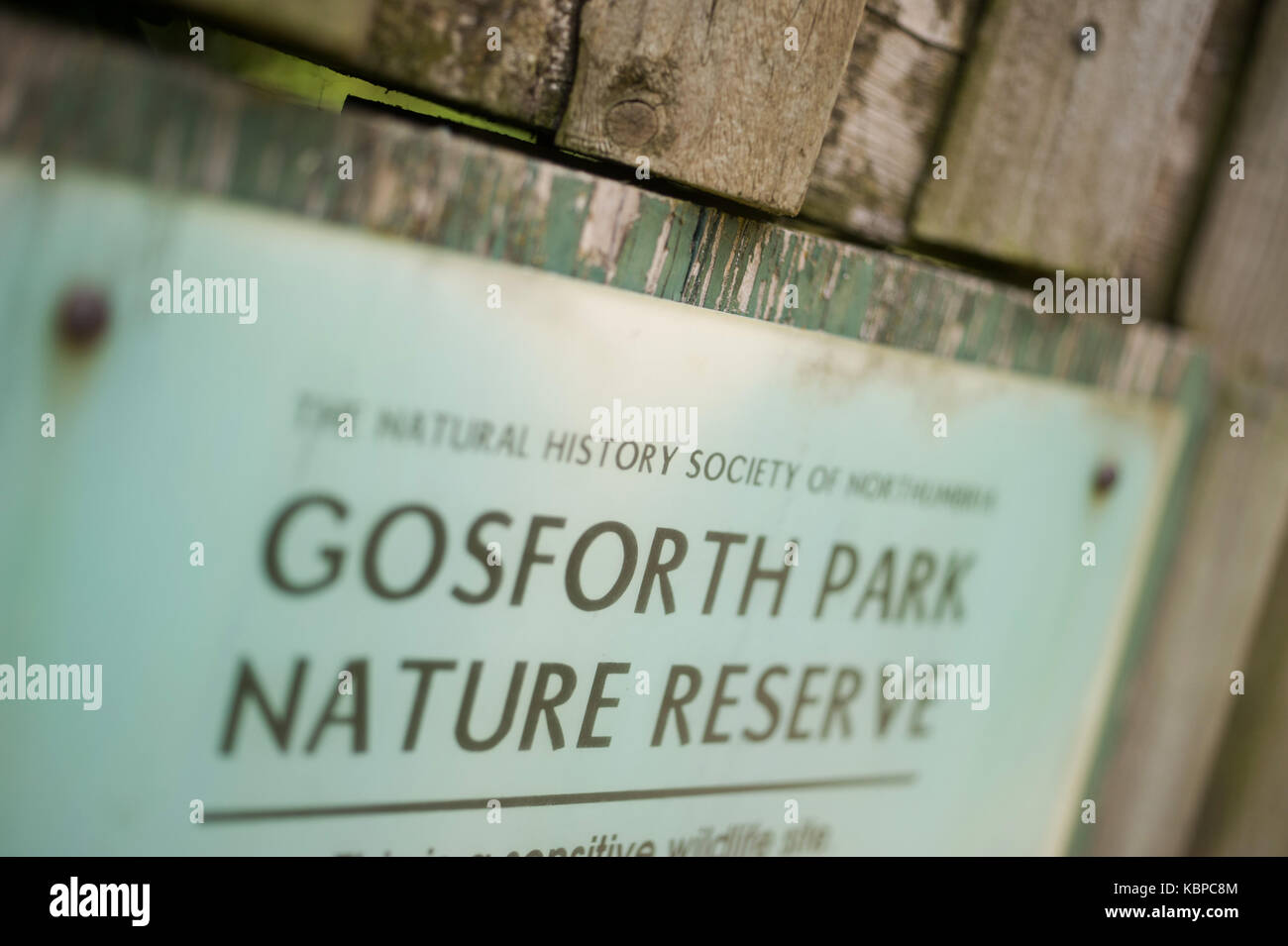Gosforth Park Nature Reserve Stock Photo Alamy