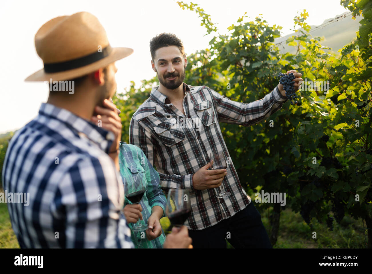 Wine grower and people in vineyard Stock Photo Alamy
