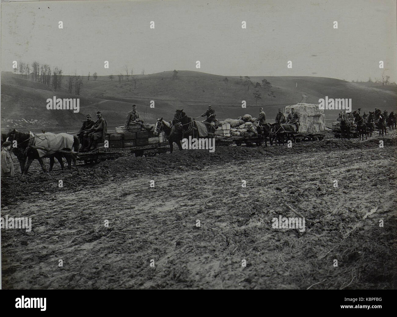 Trophy Of Wales: Hyderabad Horse Drawn Supply Wagon-Sam Floca