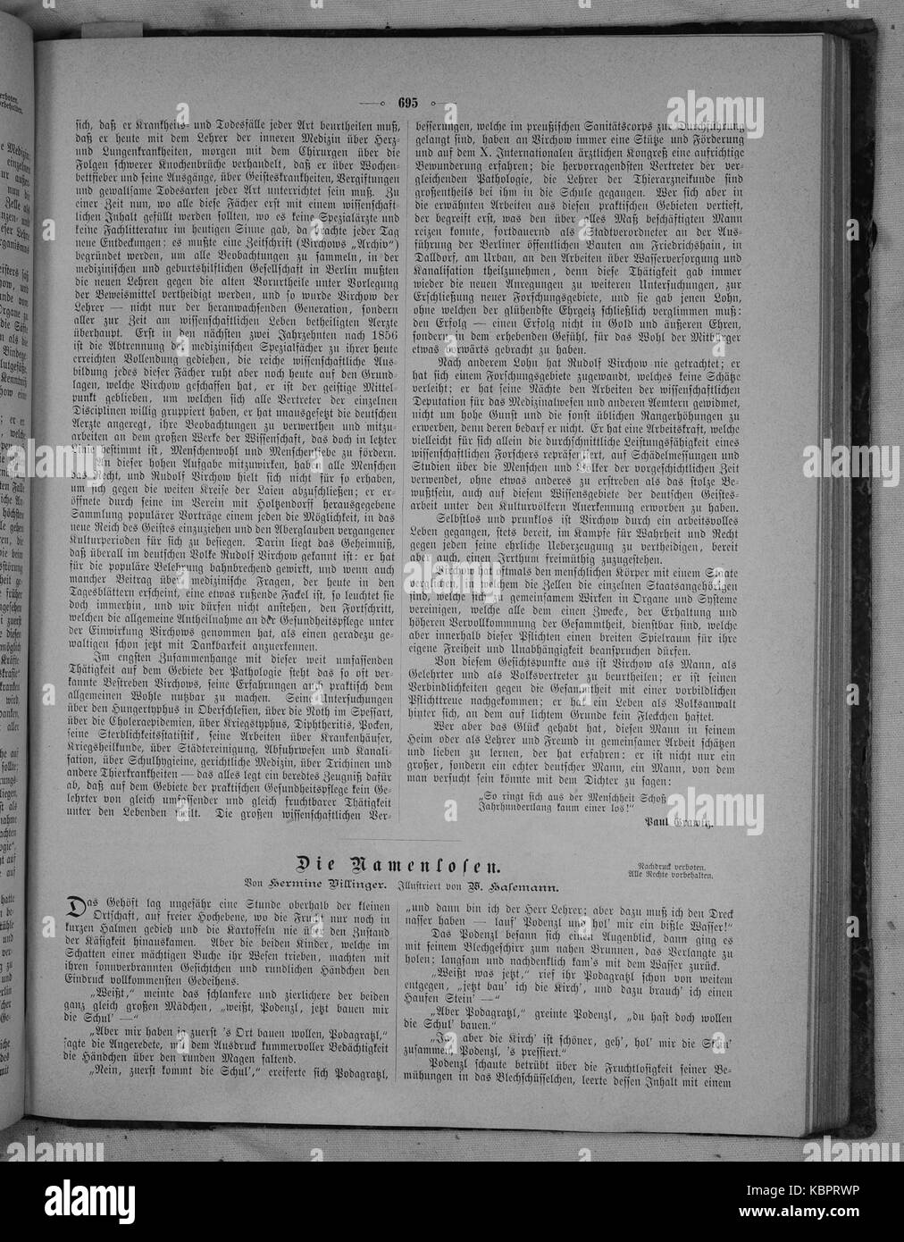 Die Gartenlaube (1891) 695 Stock Photo