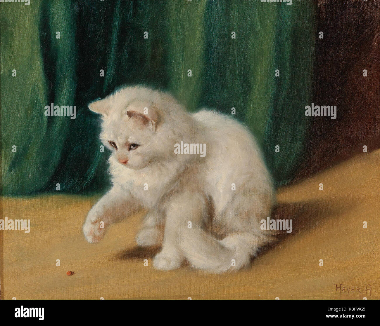 Arthur The Cat Stock Photos & Arthur The Cat Stock Images - Alamy
