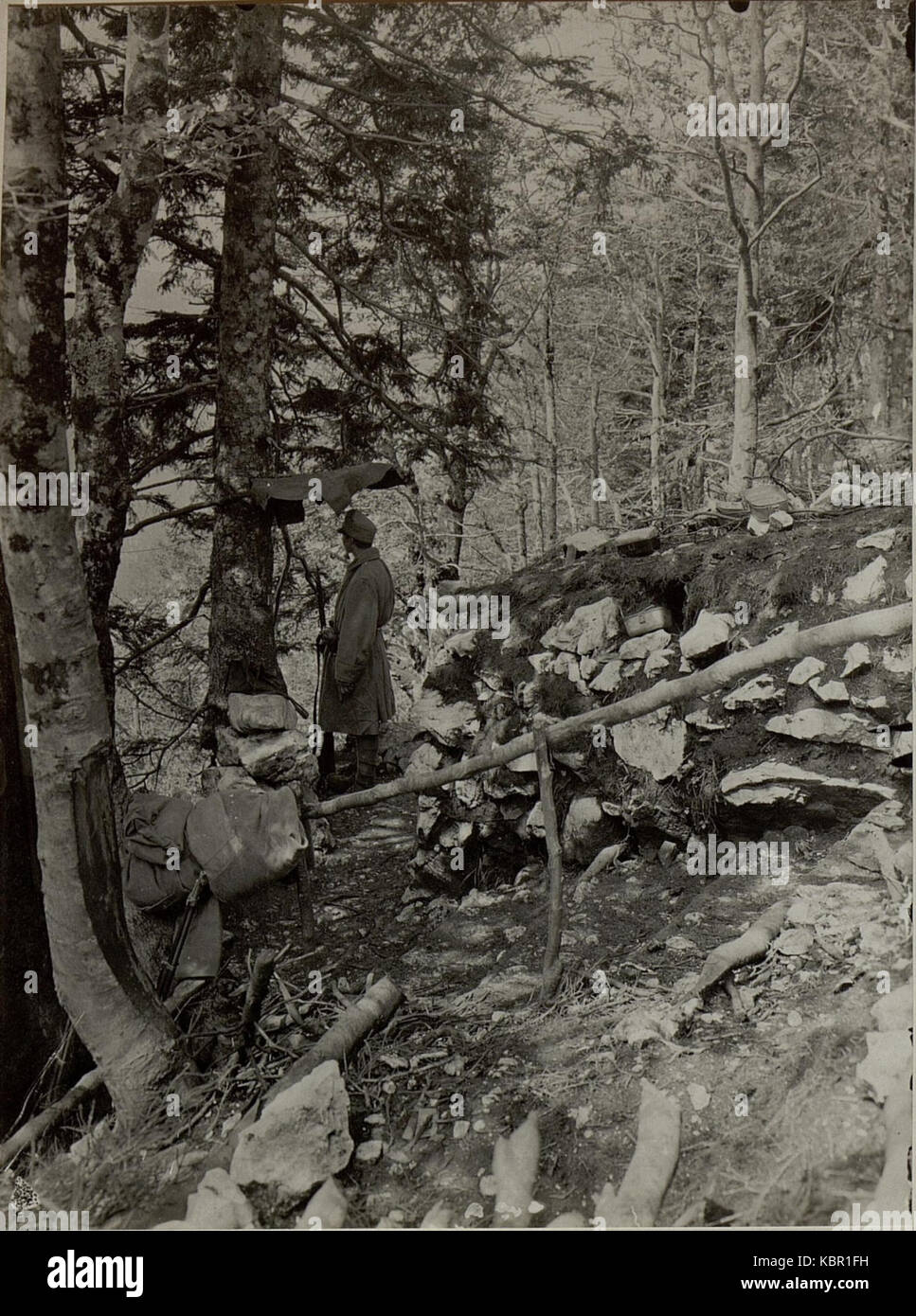 Stellung am JAVORCEK, Osthang. Aufgenommen am 27. Juli 1916. (BildID 15478745) Stock Photo