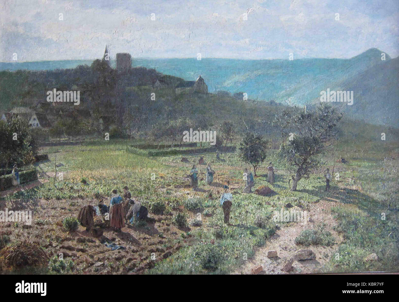 Kartoffelernte High Resolution Stock Photography and Images - Alamy