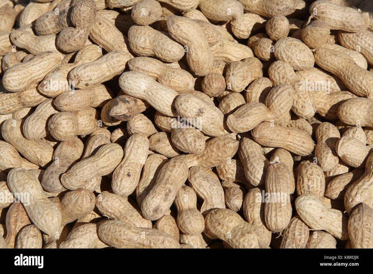 Ernüsse in Schale - Peanuts Stock Photo
