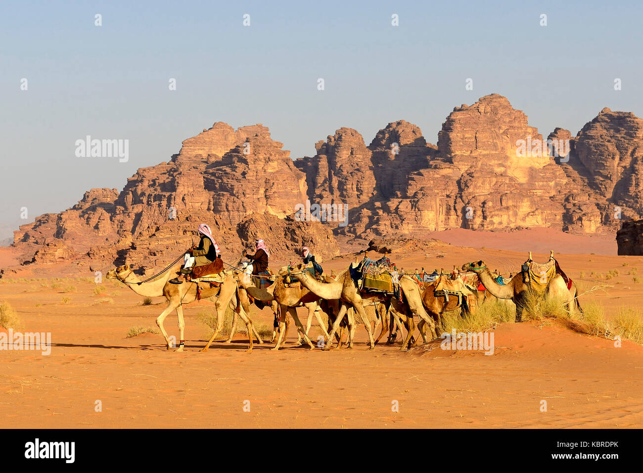 Bedouins with Camel Caravane at Wadi Rum, Jordan Stock Photo