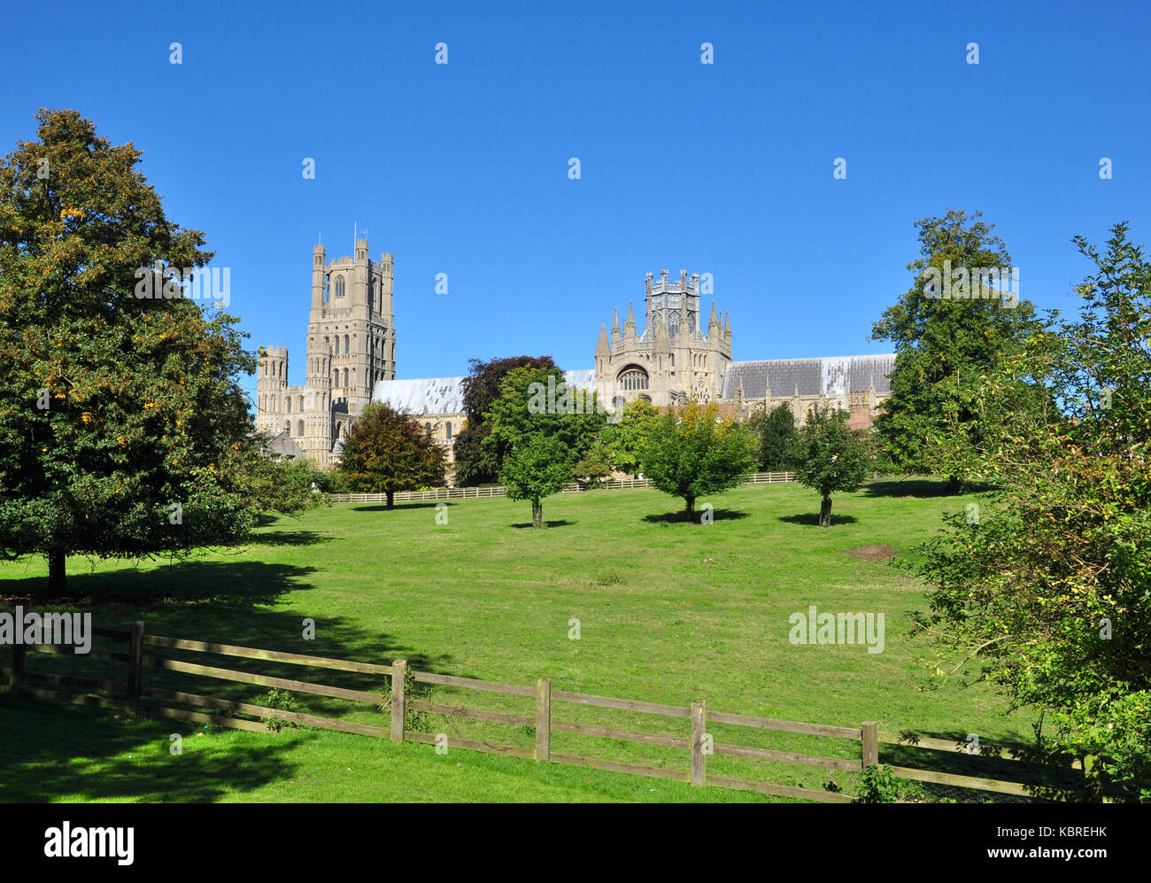 Ely Cathedral (viewed from the park), Cambridgeshire, England, UK Stock Photo