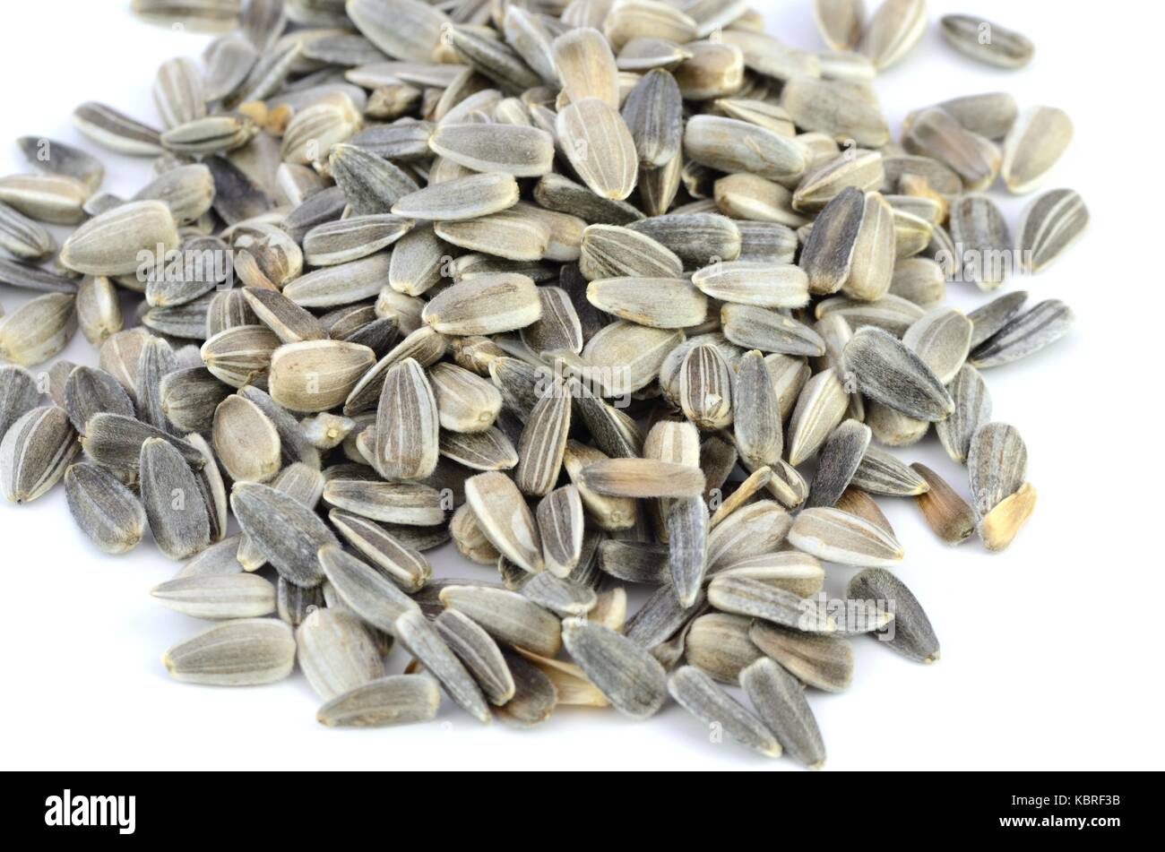 Sunflower seeds on white background Stock Photo Alamy