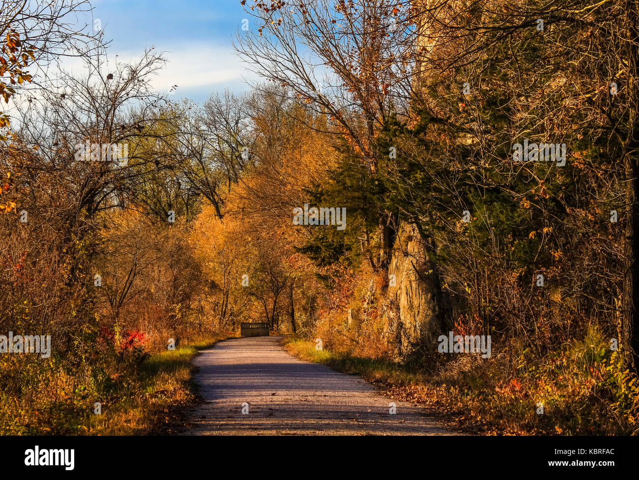 Fall trail in the woods before sunset; wooden bridge in the backgkround; Missouri, Midwest Stock Photo