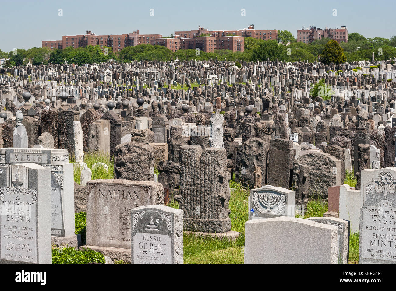 Gravestones at Mount Zion Cemetery in Maspeth, Queens Stock Photo Alamy
