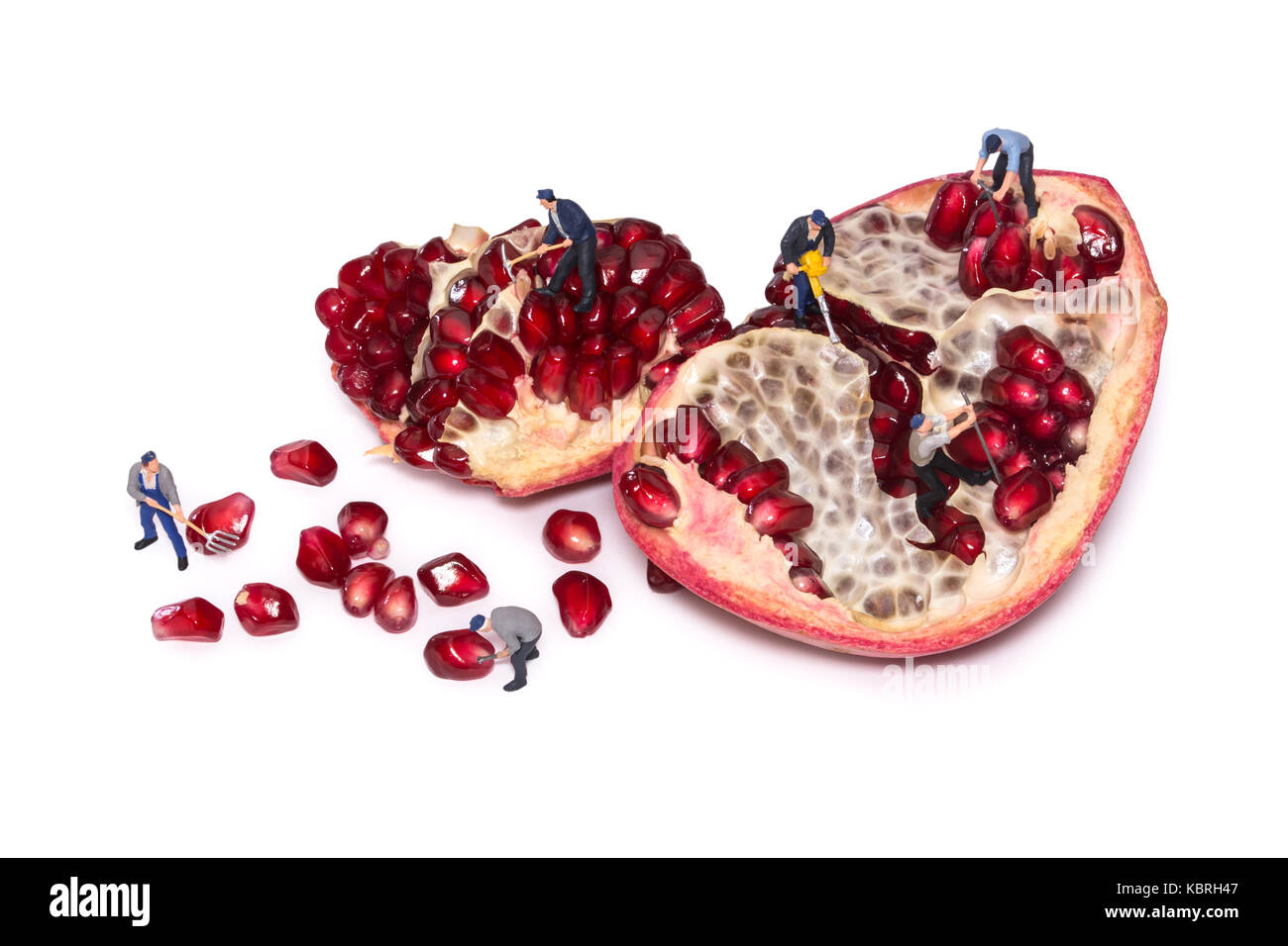 Creative concept with miniature workers take out the seeds of the pomegranate. Peoples break pomegranates. Teamwork. People cut fruit. Take garnet gra Stock Photo