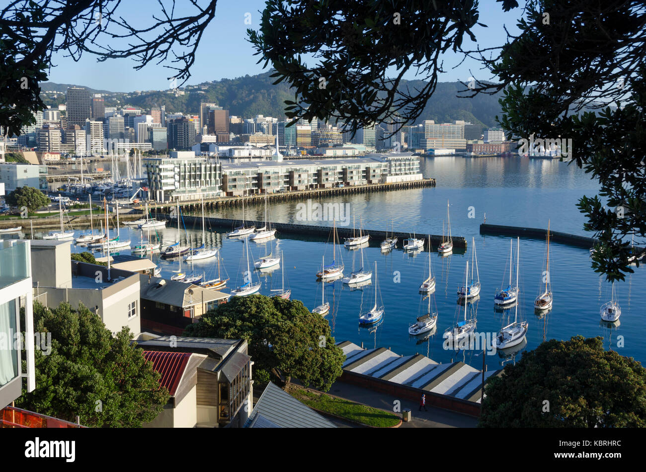 Boat harbour, Clyde Quay, Wellington, New Zealand Stock Photo