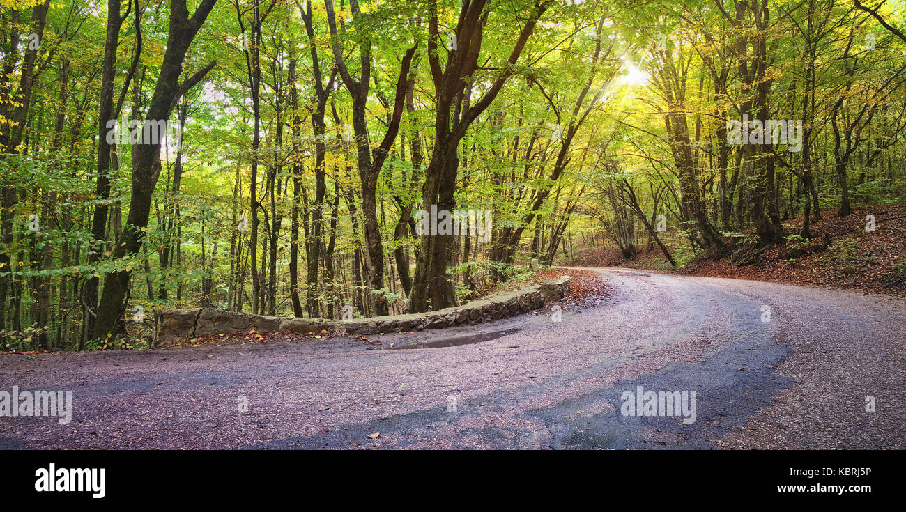asphalt road in autumn forest Stock Photo - Alamy