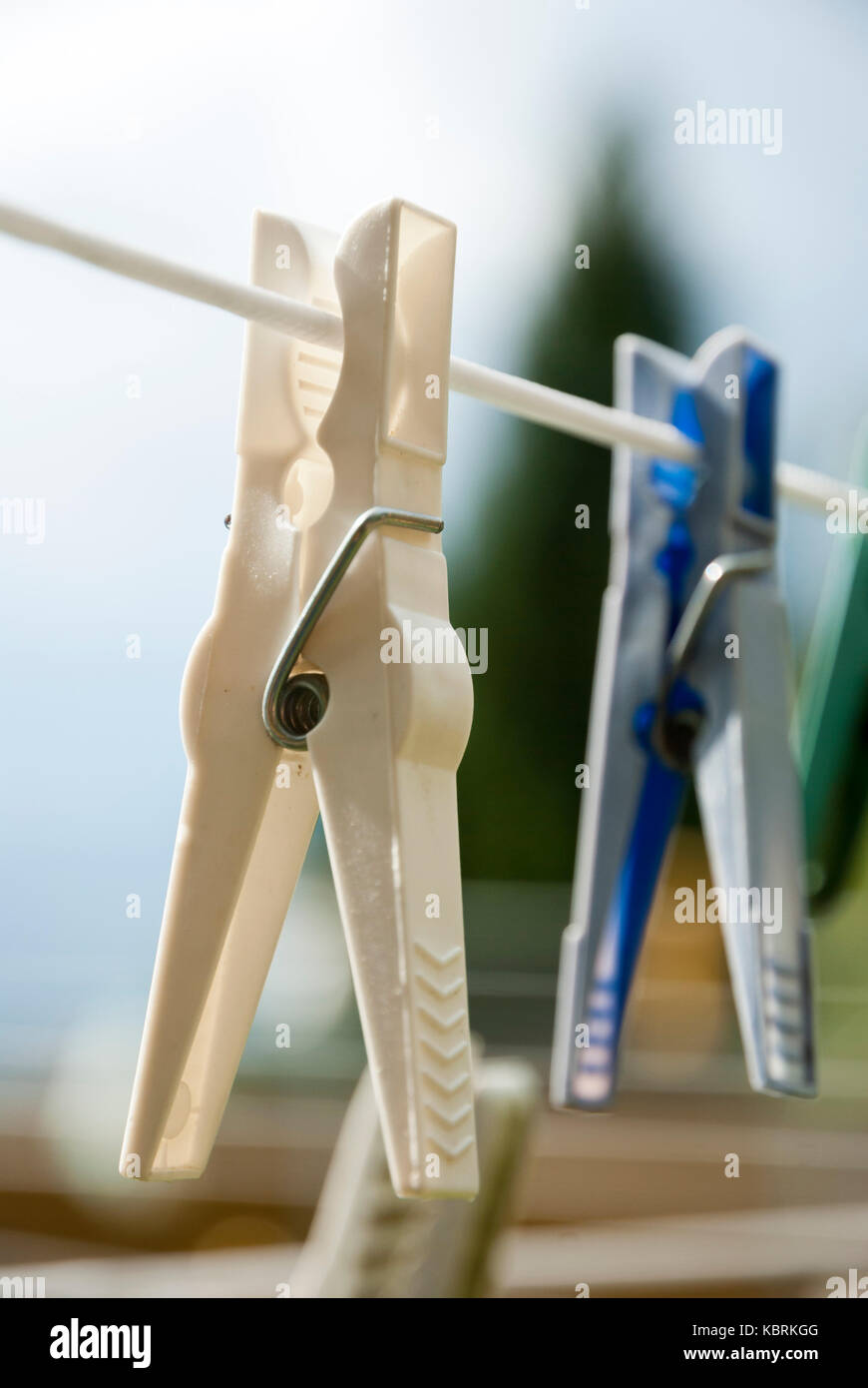 Colorful clothes pegs hanging on the clothesline Stock Photo Alamy