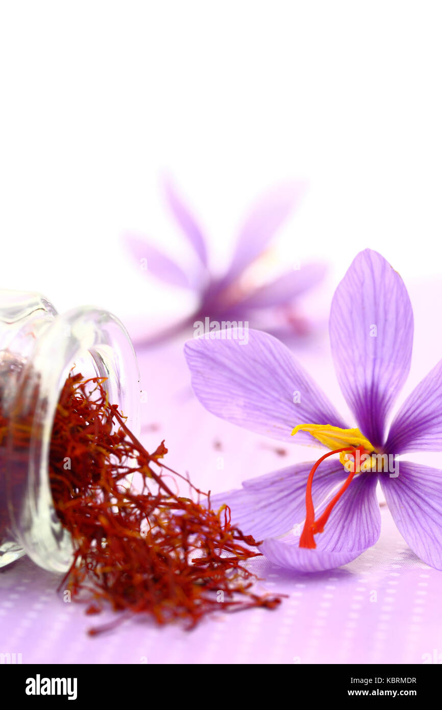 Close up of saffron flower and dried saffron spice Stock Photo Alamy