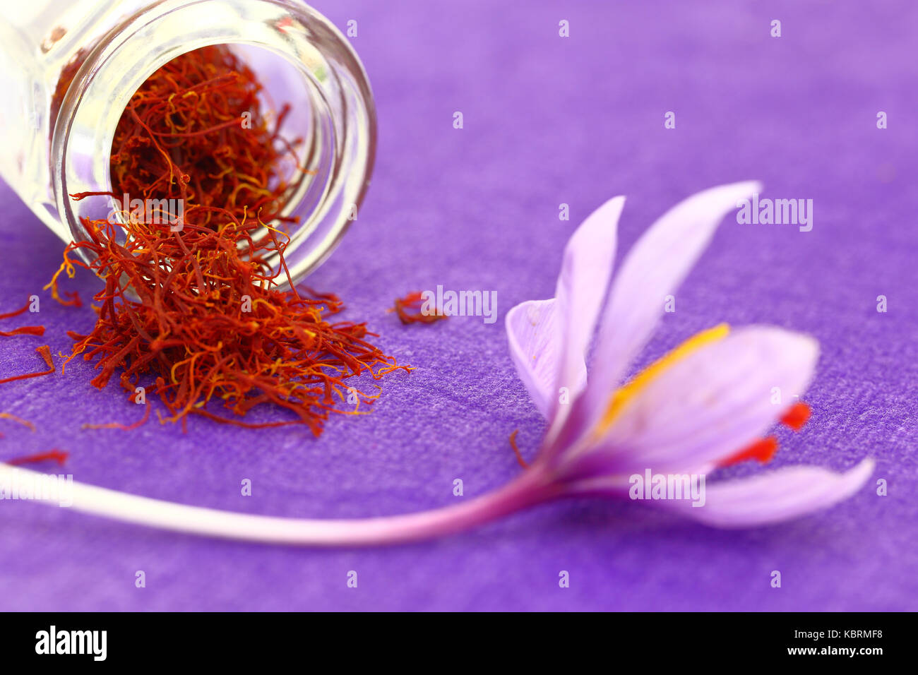Close up of saffron flower and dried saffron spice Stock Photo Alamy
