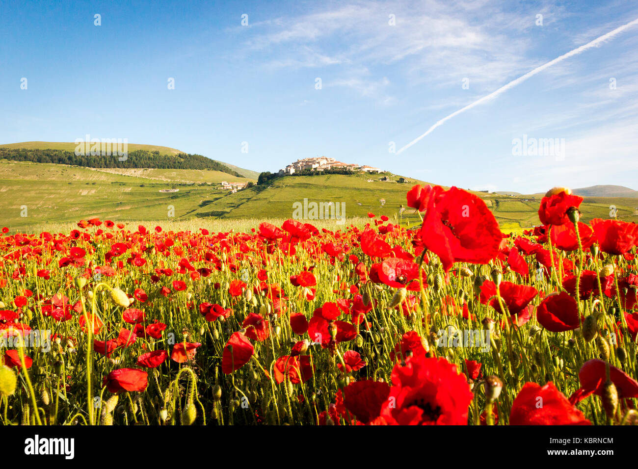 Castelluccio Di Norcia Umbria Italy Piana Grande Valley Landscape castelluccio-di-norcia-umbria-italy-piana-grande-valley-landscape