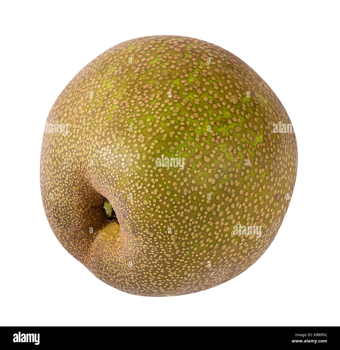 Asian pear(Pyrus pyrifolia ) isolated on white background. Stock Photo