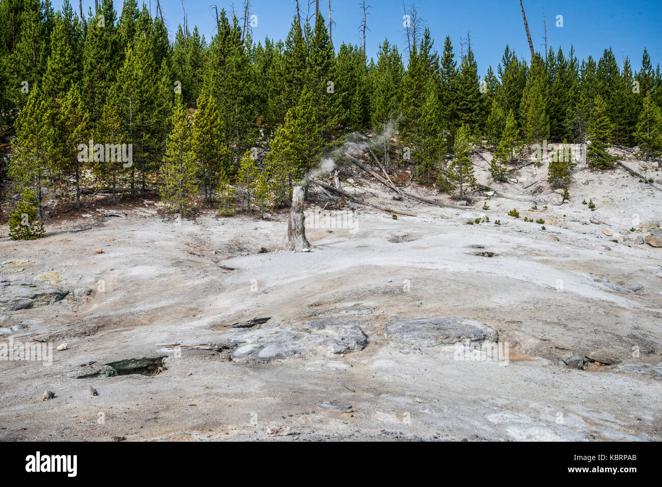 Mammoth Mountain geyser basin trail, Yellowstone National Park Stock Photo